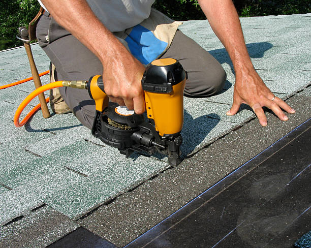 Best Roof Gutter Cleaning  in Fort Lee, VA