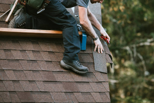 Best Roof Gutter Cleaning  in Fort Lee, VA